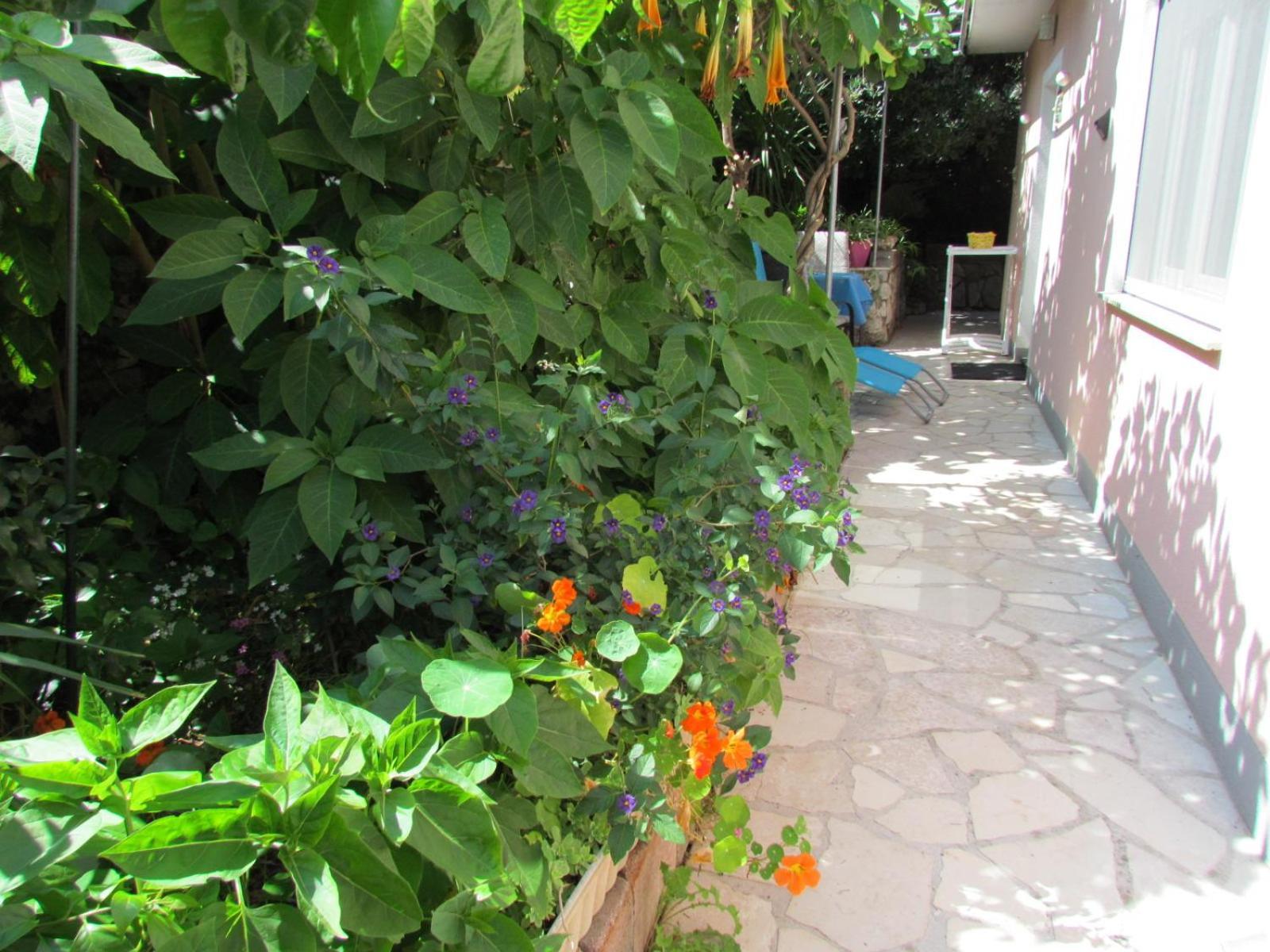 Apartments Bura & Jugo, Cres, Without Stress Екстер'єр фото